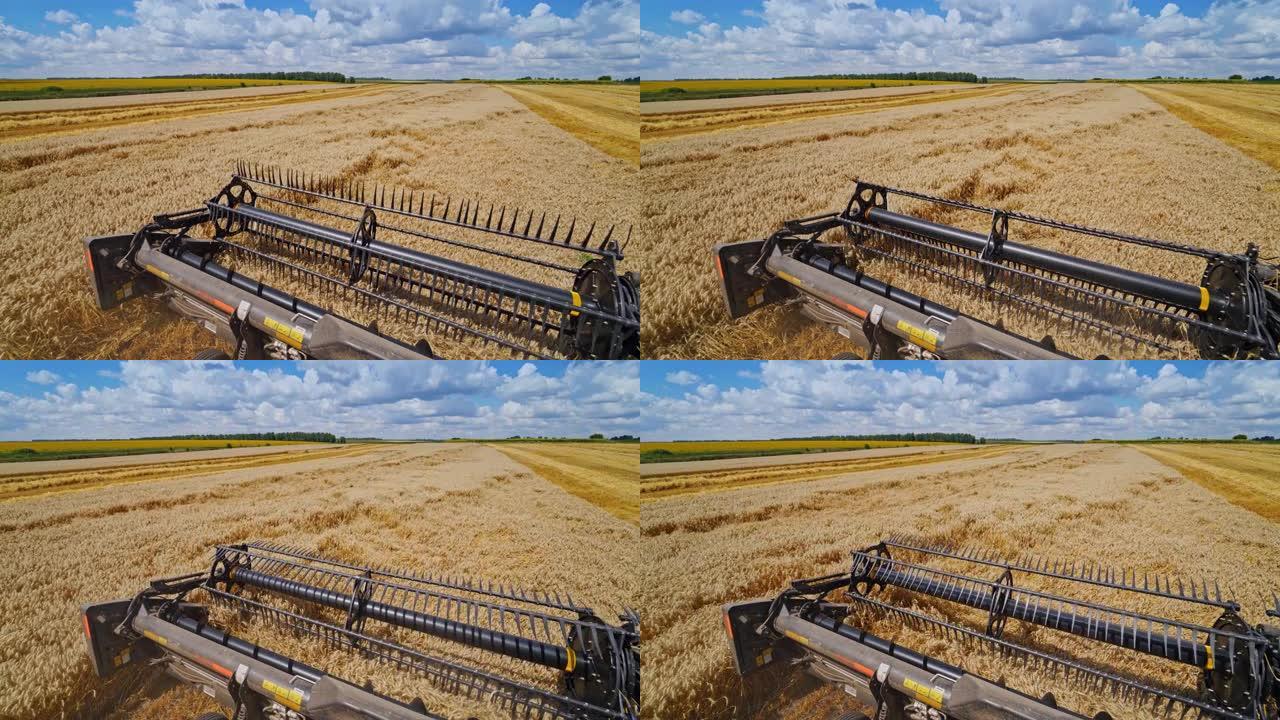田间专用机收作物，农业技术在作业。成熟的收获概念。谷物或小麦采集。重型机械，蓝天上空。联合收割机上的