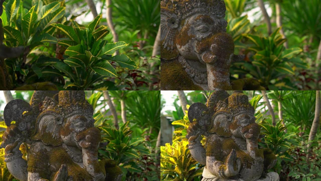 慢动作steadicam拍摄了热带花园中覆盖着苔藓的Ganesha神的石像