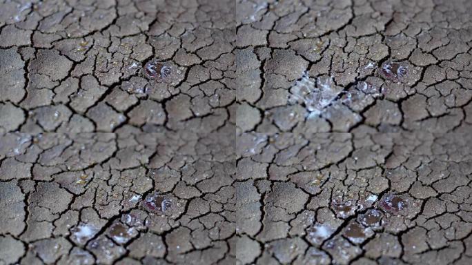 水滴落在干旱的干燥裂隙土壤上
