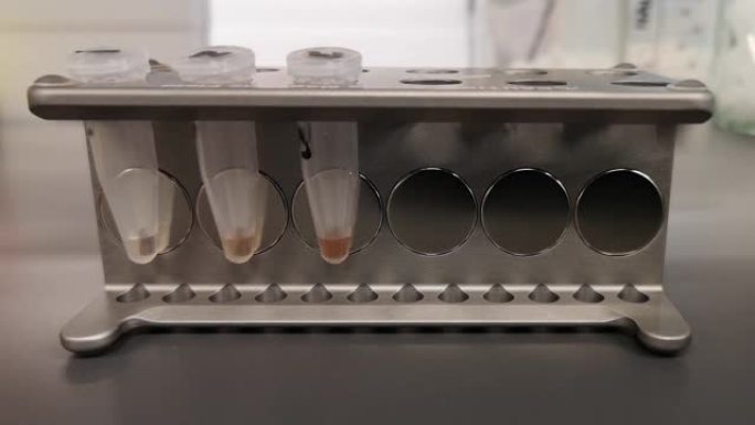 用磁珠纯化DNA。磁架管，实验室视频技术