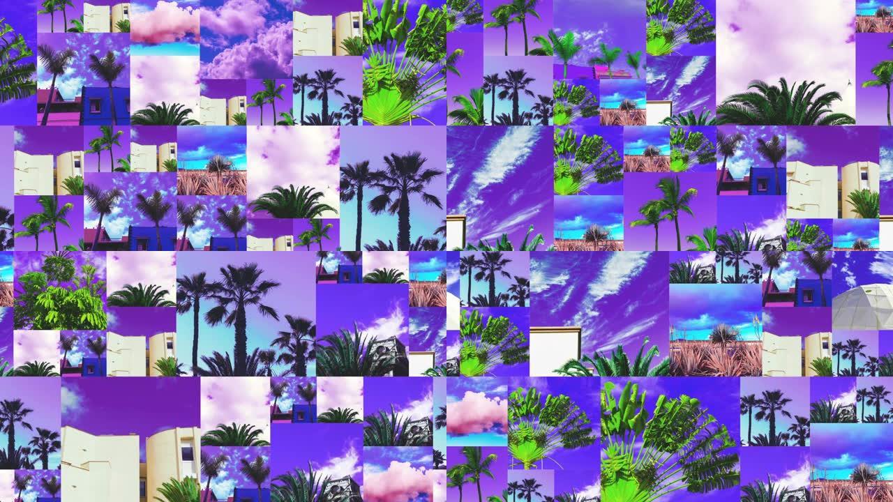 动画照片幻灯片放映设计。紫色植物和纹理的混合。紫罗兰色潮人创意心情