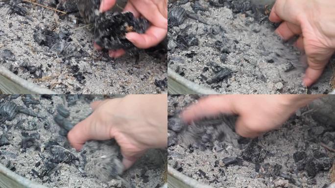 女孩的手拿着一把灰烬倒出来了。一名男子在烧毁的大火后驱散了灰烬