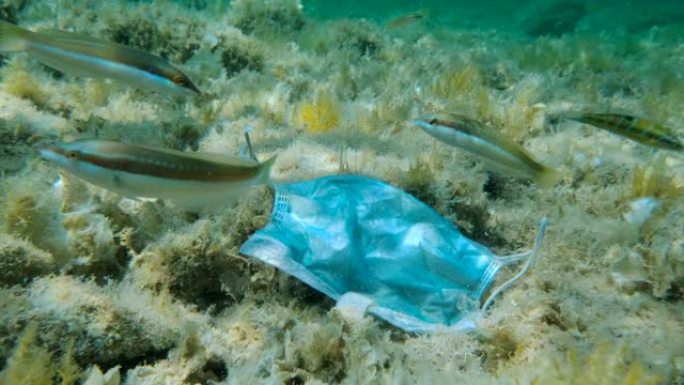 用过的口罩躺在海底附近的swims鱼学校。冠状病毒新型冠状病毒肺炎正在造成污染，因为废弃的二手口罩会