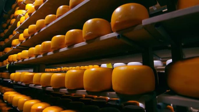 在冰箱的木制架子上储存不同品种的奶酪。储藏室架子上的奶酪。