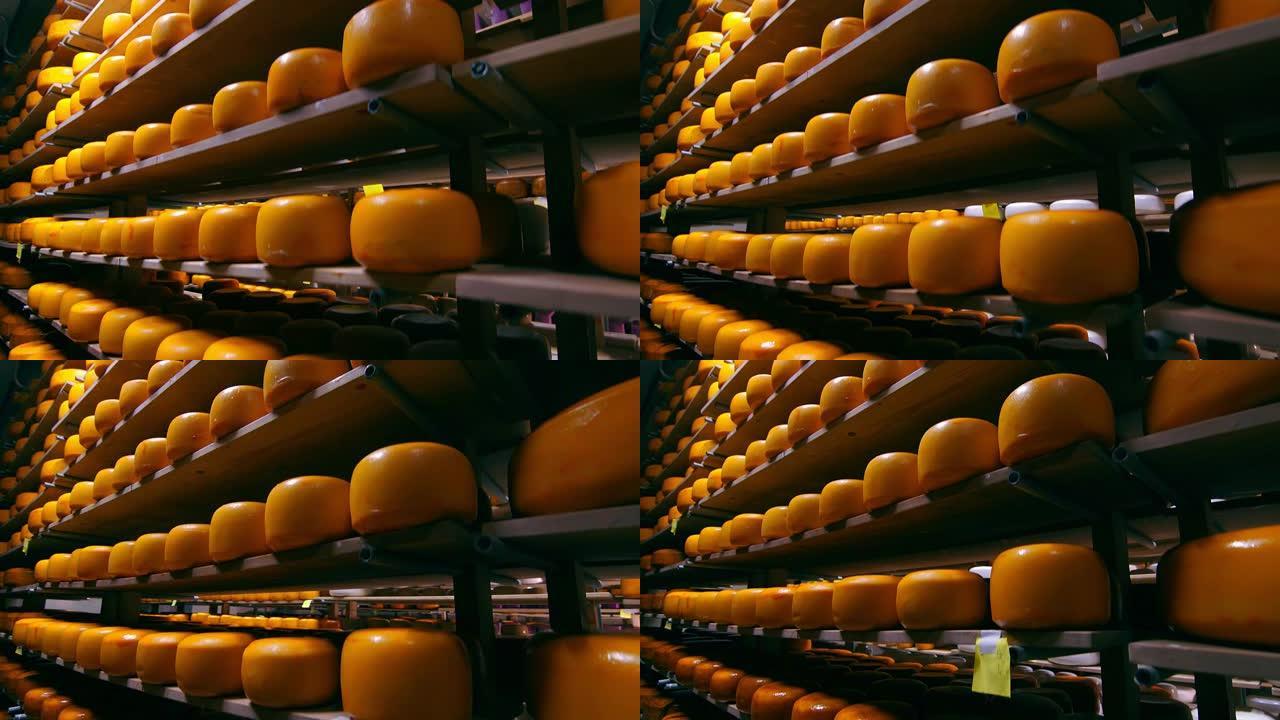 在冰箱的木制架子上储存不同品种的奶酪。储藏室架子上的奶酪。