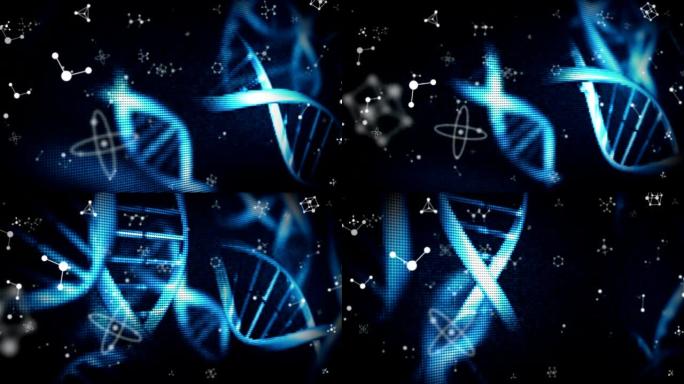 黑色背景上漂浮的蓝色DNA菌株旋转分子和化学元素的动画