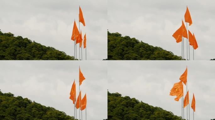山的背景下的越南国旗