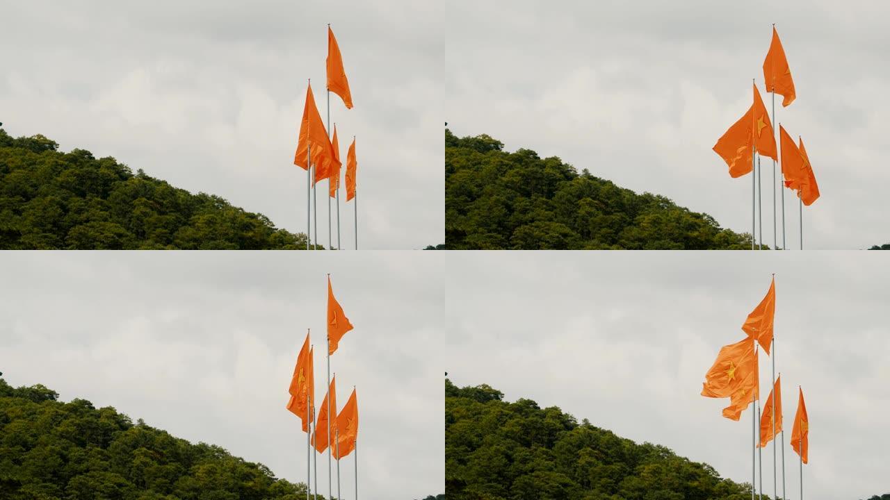 山的背景下的越南国旗