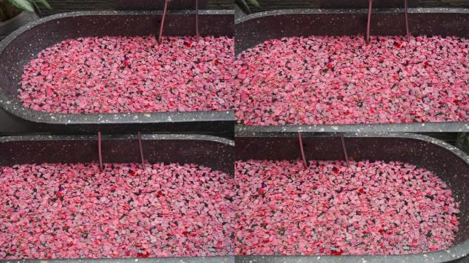 水疗沙龙用玫瑰花瓣沐浴