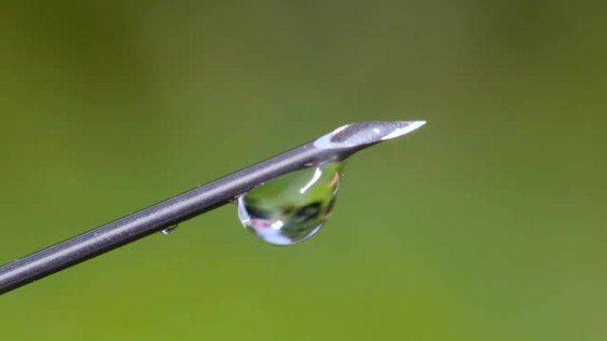 注射器尖端的生理盐水疫苗滴