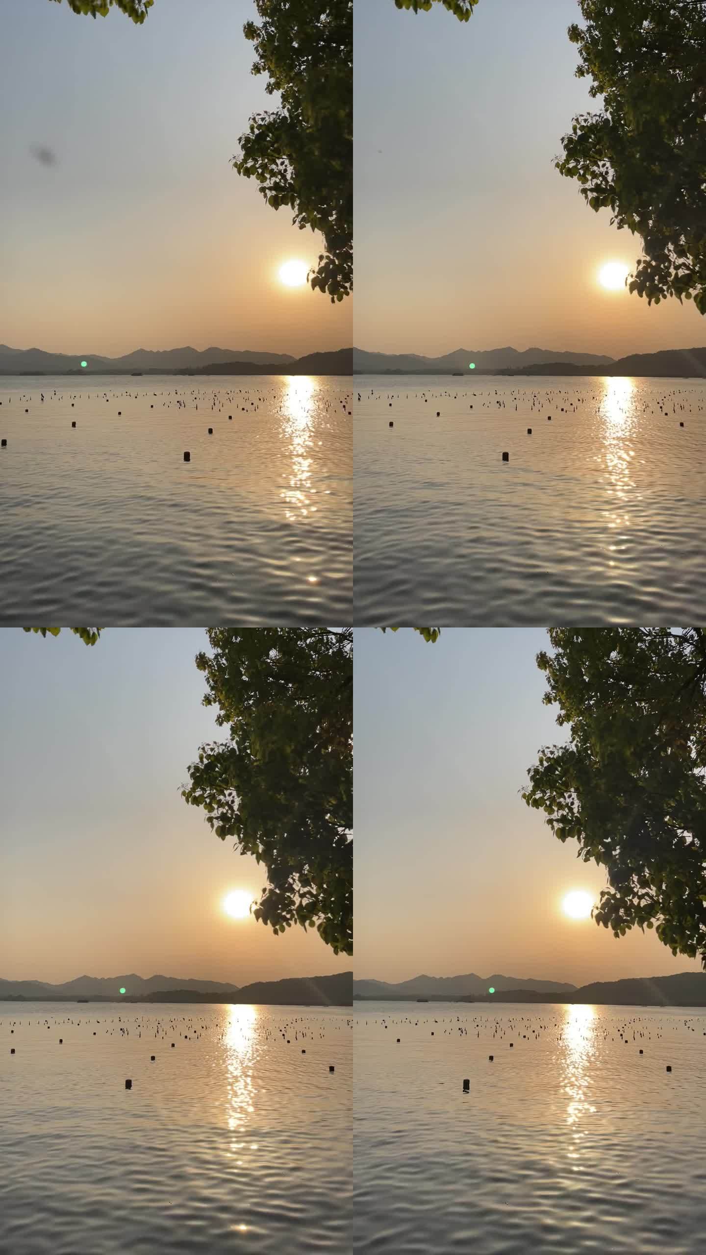 夕阳-西湖