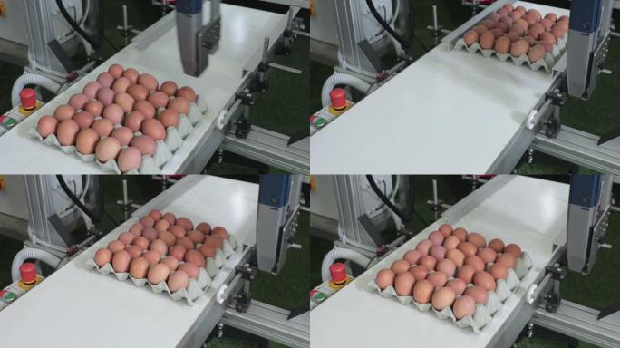 标记鸡蛋