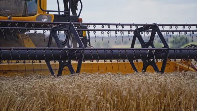 现代联合收割机刀具的详细视图。农业设备切割黄穗小麦。谷物收割机在田间收集成熟小麦的作物。特写。