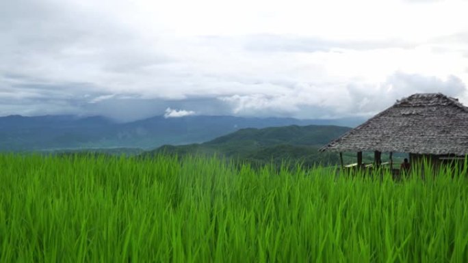 平移镜头-山脉中的水稻梯田视点