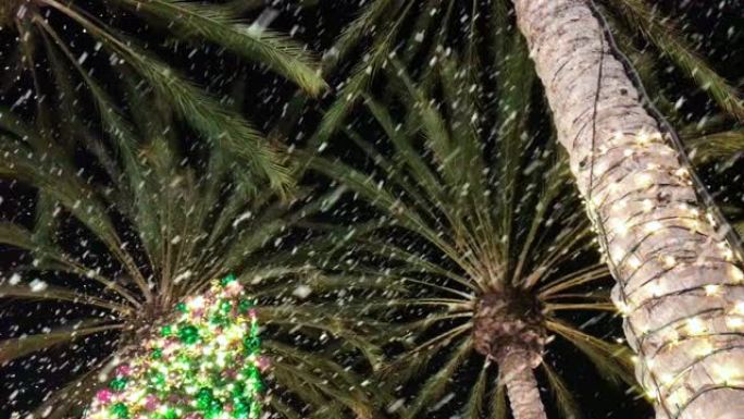 4k雪落在棕榈树和圣诞树上，圣诞灯照亮，从地面看