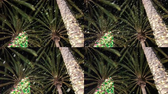 4k雪落在棕榈树和圣诞树上，圣诞灯照亮，从地面看