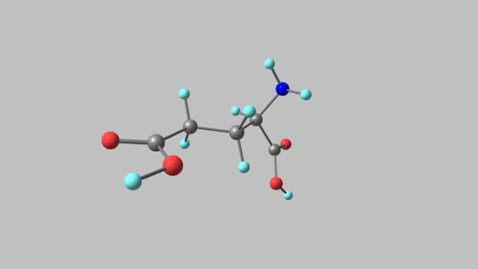 谷氨酸旋转视频灰