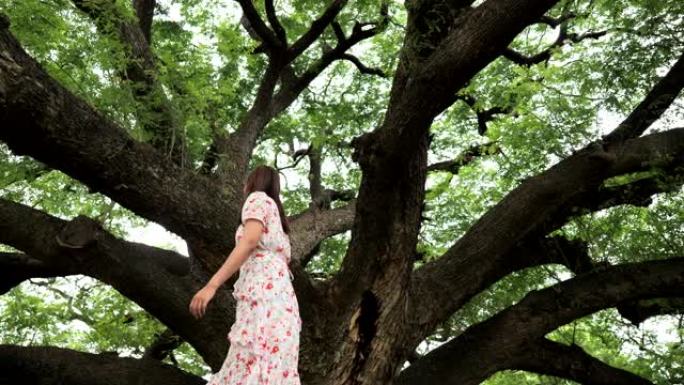 亚洲女子在美丽的大树下行走的场景