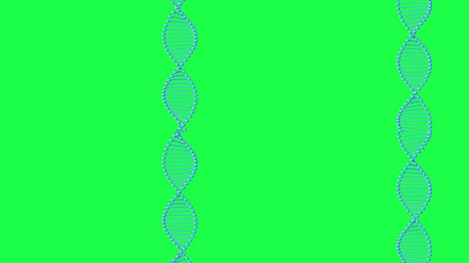 绿色背景上分离的DNA序列