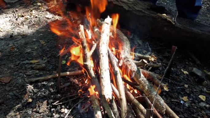 在森林里放火。