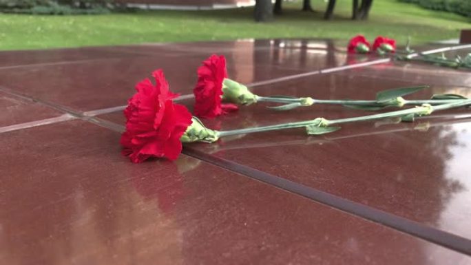 在阵亡将士纪念日，红色康乃馨花摆放在无名战士纪念碑和永恒火焰旁的花岗岩石板上，象征着伟大的卫国战争中