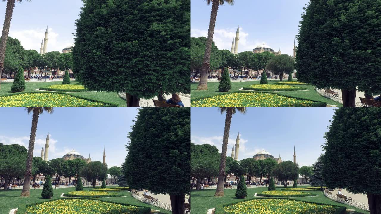 通过棕榈树和鲜花的Sultanahmet广场观看Aya Sofia
