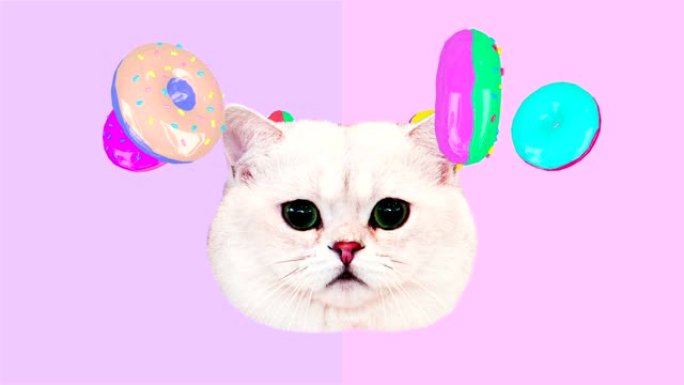 运动最小设计艺术。有趣的猫猫和甜甜圈