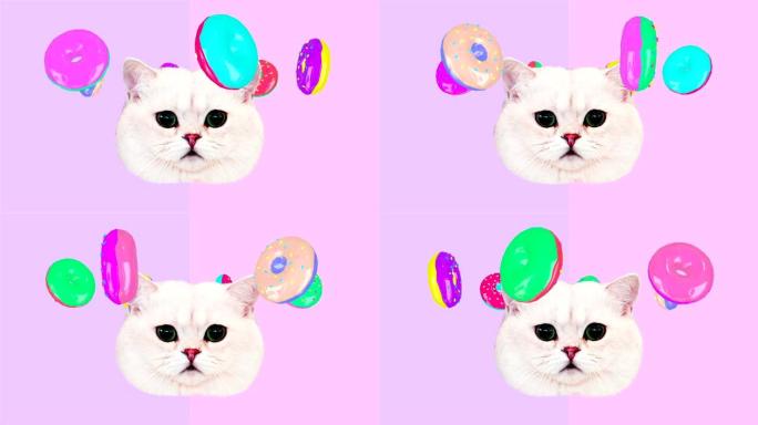运动最小设计艺术。有趣的猫猫和甜甜圈
