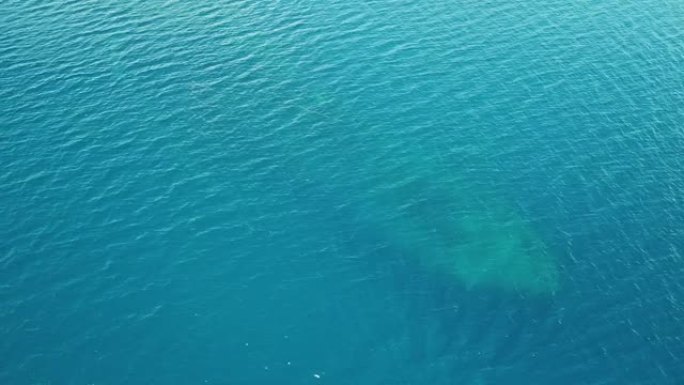 特鲁克潟湖著名沉船藤川丸