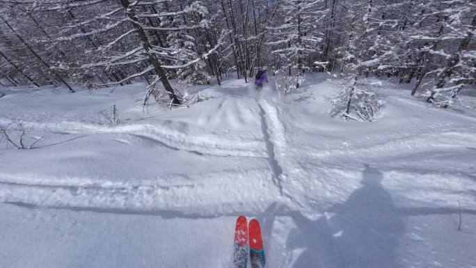 高速野雪粉雪树林跟拍4K