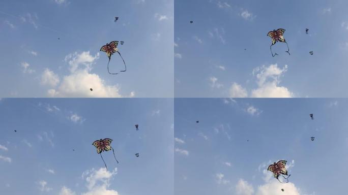 空中风筝比赛