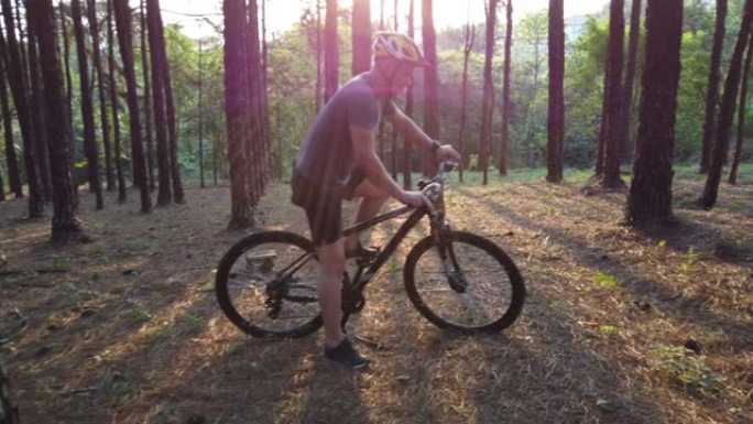 在松树森林里骑自行车的人。