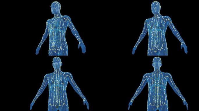 人体经络医药课程片头人体新陈代谢人体经络