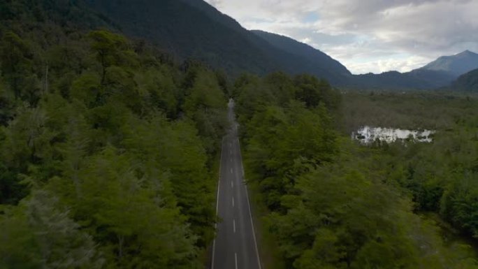 空中之路和高大森林，智利，南美洲，瓦拉斯港