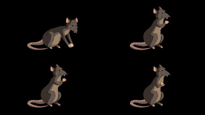 棕色老鼠坐着吃奶酪动画阿尔法哑光