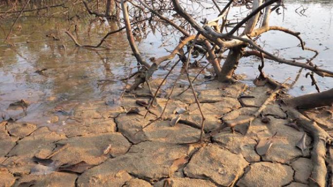 气候变化和干旱土地。水危机。干旱气候。裂缝土壤