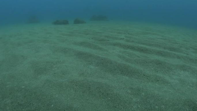 台湾兰屿海底、沙石