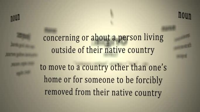 定义: 外籍人士