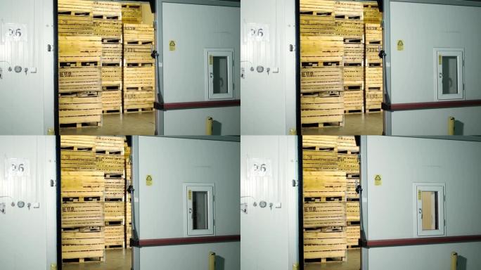 苹果存储。仓库。一堆堆装着苹果的木箱装在巨大的不透气的冰箱摄像头里，仓库里有专门的储藏室。苹果存储技