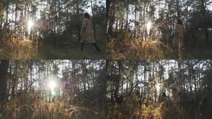 白种人女性在晴朗的秋日走在秋天的森林里。迷人的时尚女人在日出时漫步在秋季公园