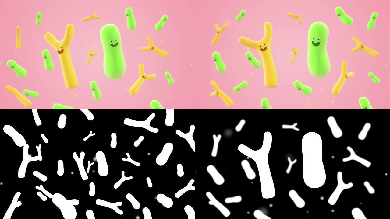 卡通形状双歧杆菌卡通形状双歧杆菌