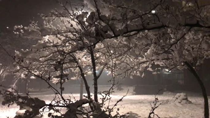 在寒冷的圣诞节夜晚，在路灯下，裸露的树枝被雪吹走