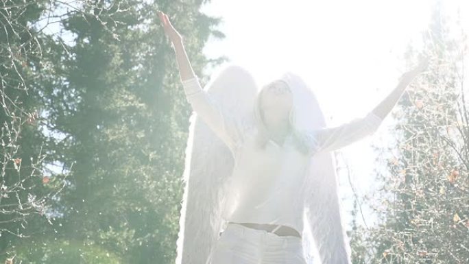 白衣天使沐浴在阳光下