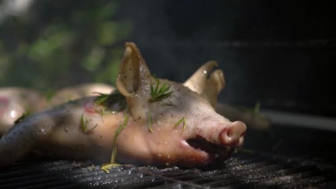 4K，烧烤烤架上的美味猪肉。全猪煮熟的烤肉特写。