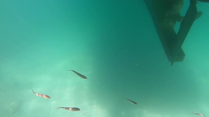 船底下的螺旋桨风景阳光和鱼类。