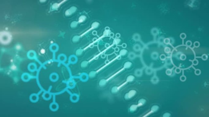 漂浮在蓝色背景上的微距新型冠状病毒肺炎细胞图标的DNA菌株旋转的动画