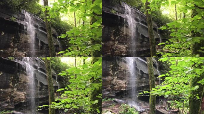 滑岩瀑布平移视图，框架侧面有树叶