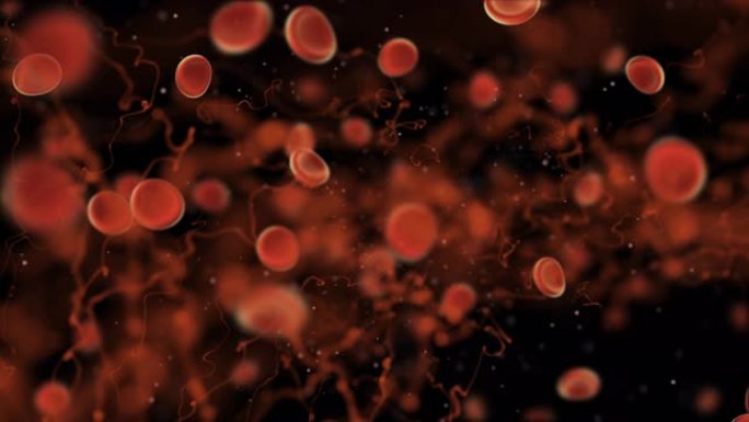 身体健康科学细菌，病毒和红色感染血细胞在虎门身体静脉中传播。生物学病毒感染血细胞和免疫概念3D渲染