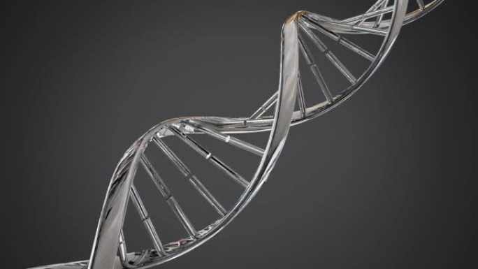 灰色背景下的金属DNA结构旋转
