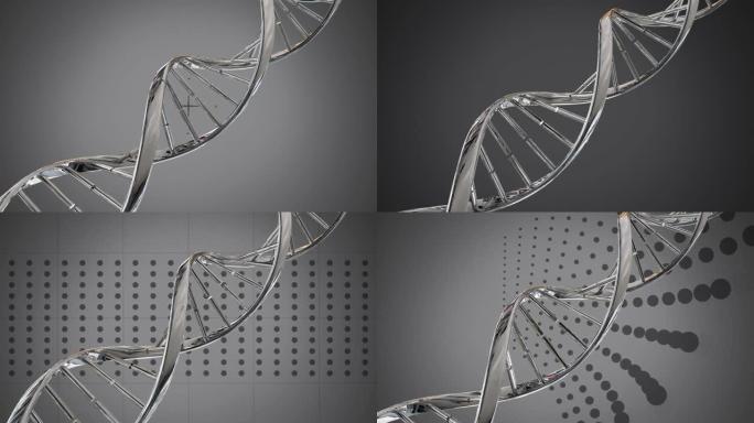 灰色背景下的金属DNA结构旋转